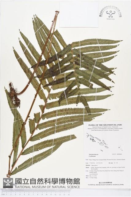 Accession Number:BP00662 Collection Image