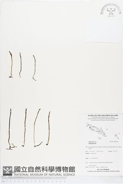 登錄號:BP01662藏品圖，第1張