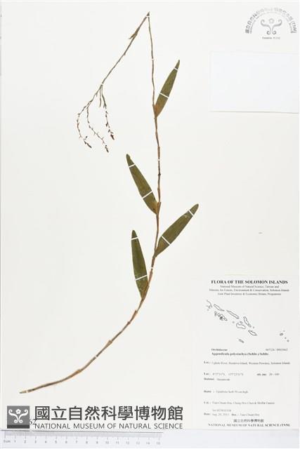 登錄號:BS03662藏品圖，第1張