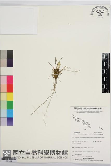 登錄號:BS07662藏品圖，第1張