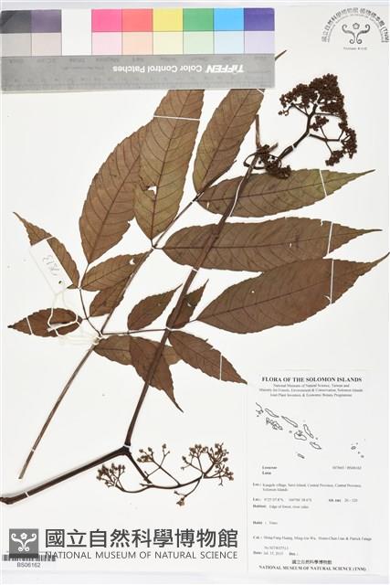 登錄號:BS06162藏品圖，第1張