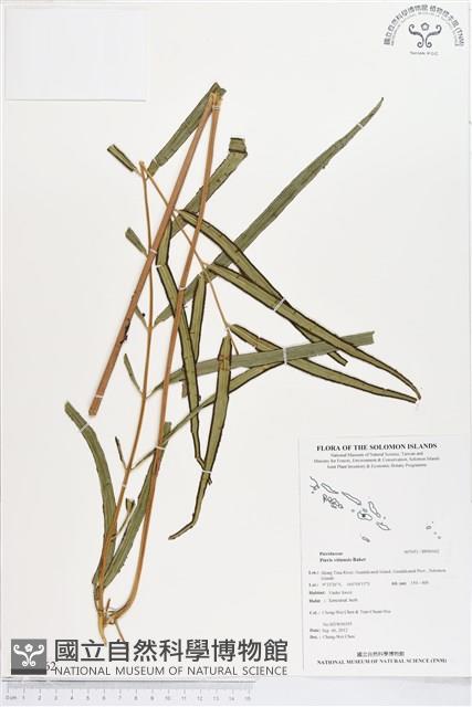 Accession Number:BP00162 Collection Image