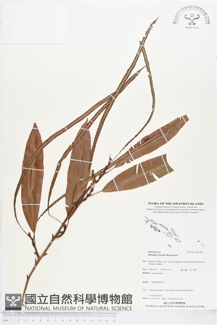 登錄號:BP01462藏品圖，第1張