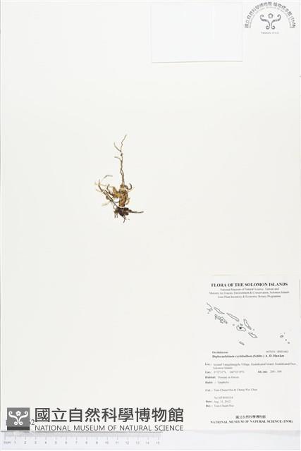 登錄號:BS01462藏品圖，第1張