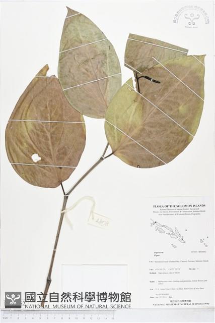 登錄號:BS04462藏品圖，第1張