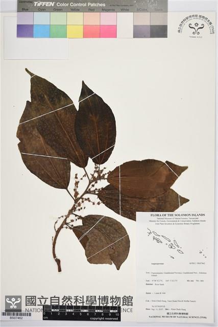 登錄號:BS07462藏品圖，第1張