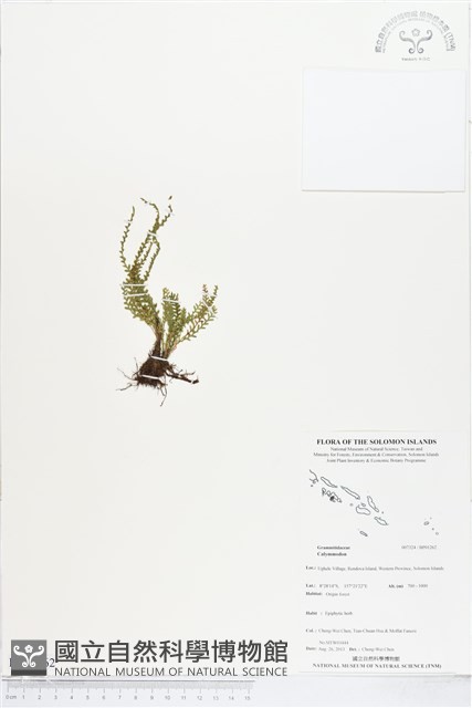 登錄號:BP01262藏品圖，第1張