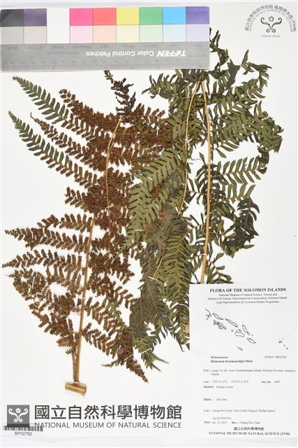 登錄號:BP02762藏品圖，第1張