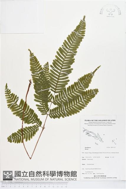 登錄號:BP01762藏品圖，第1張