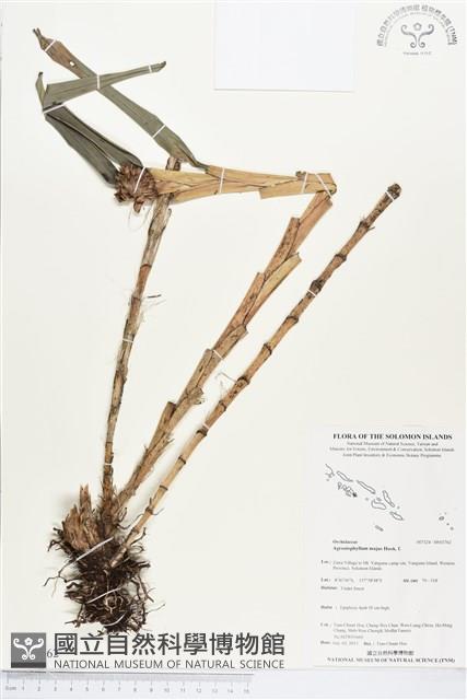 登錄號:BS03762藏品圖，第1張