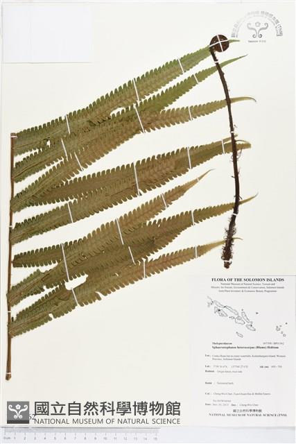 登錄號:BP01562藏品圖，第1張