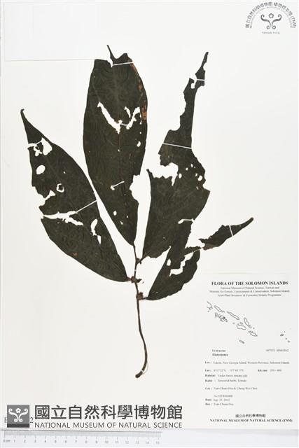 登錄號:BS01562藏品圖，第1張