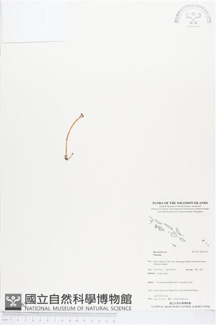 登錄號:BS03562藏品圖，第1張