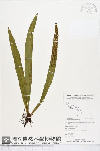 登錄號:BP00962藏品圖，第1張