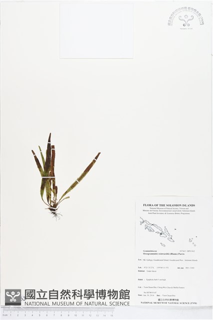 登錄號:BP01962藏品圖，第1張