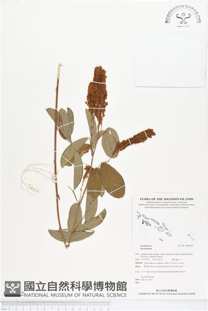 登錄號:BS02362藏品圖，第1張