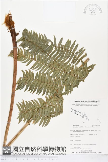 登錄號:BP01362藏品圖，第1張