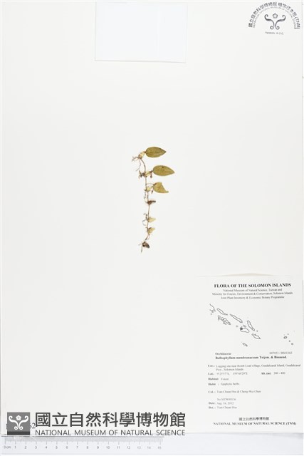 登錄號:BS01362藏品圖，第1張