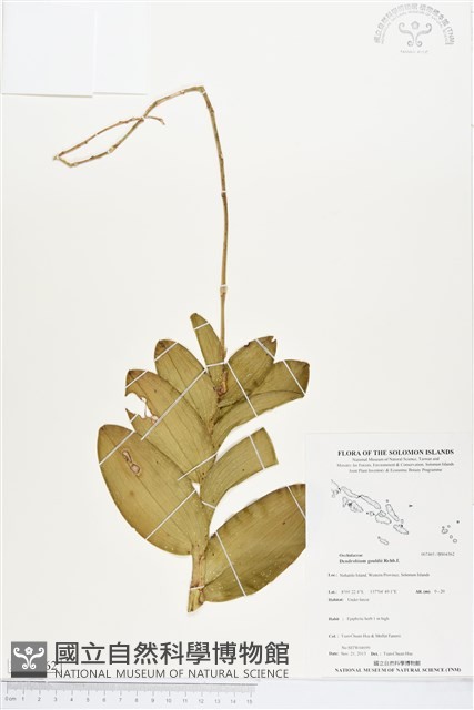 登錄號:BS04362藏品圖，第1張