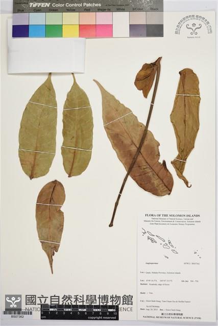 登錄號:BS07362藏品圖，第1張