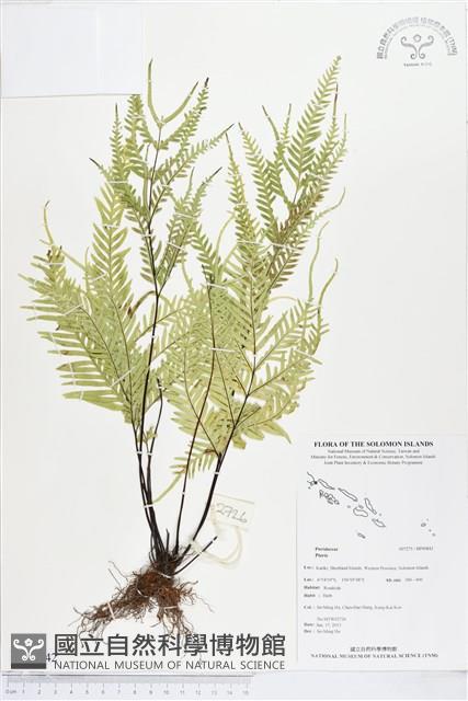 登錄號:BP00842藏品圖，第1張