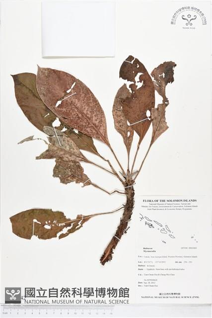 登錄號:BS01842藏品圖，第1張