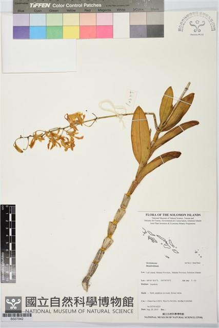 登錄號:BS07842藏品圖，第1張