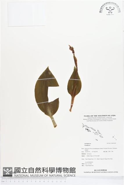 登錄號:BS02042藏品圖，第1張