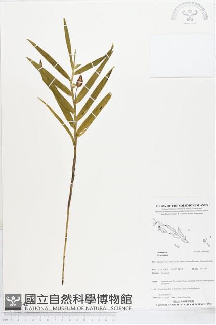 登錄號:BS04042藏品圖，第1張