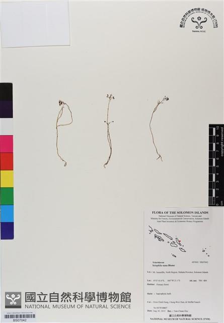 登錄號:BS07042藏品圖，第1張