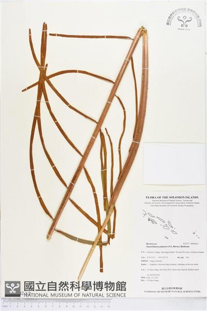 登錄號:BP00642藏品圖，第1張