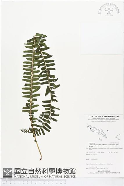 登錄號:BP01642藏品圖，第1張