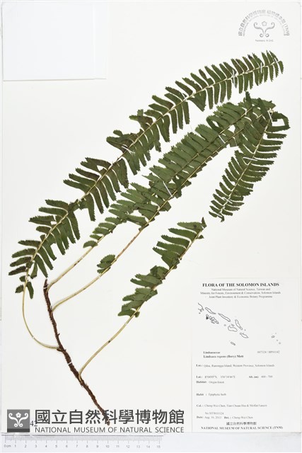 登錄號:BP01142藏品圖，第1張