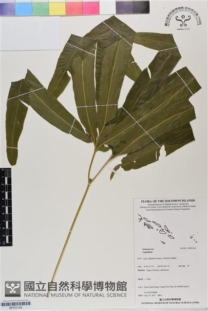 登錄號:BP03142藏品圖，第1張