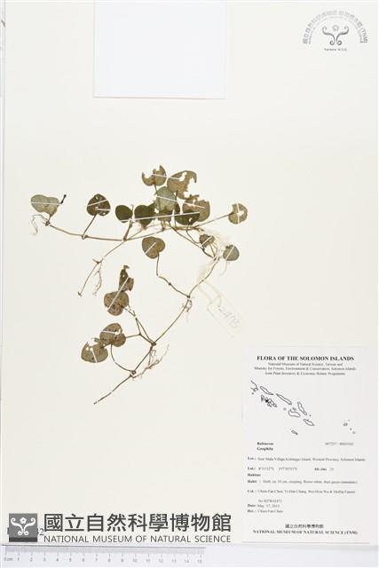 登錄號:BS03142藏品圖，第1張