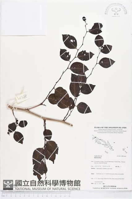 登錄號:BS04442藏品圖，第1張