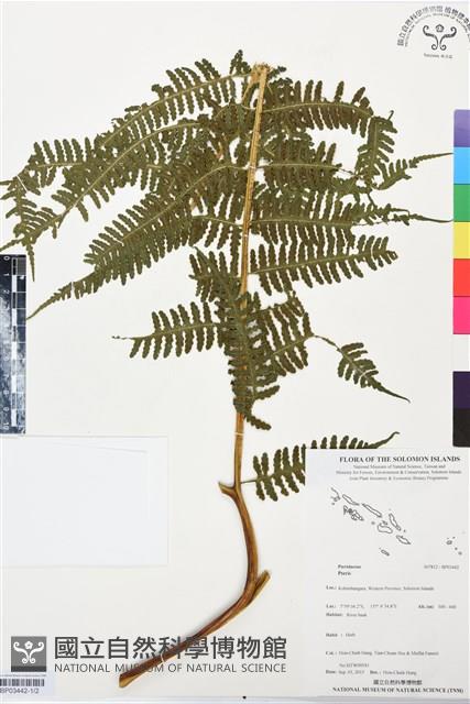 登錄號:BP03442藏品圖，第1張