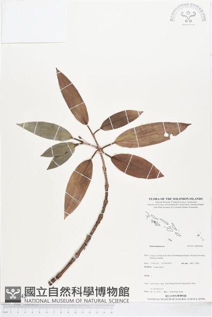 登錄號:BS03442藏品圖，第1張