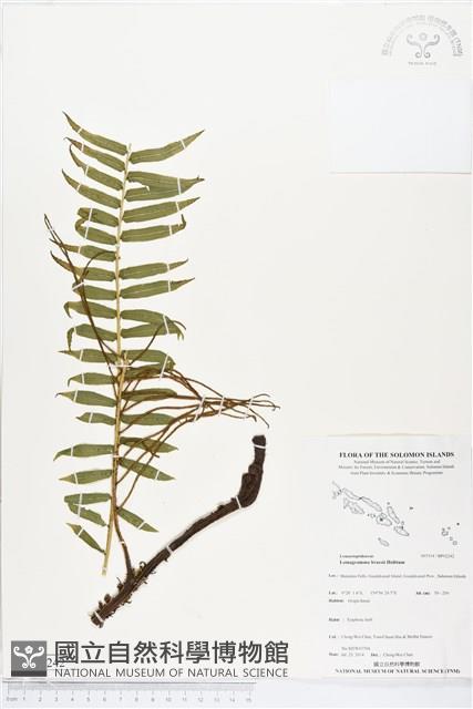 登錄號:BP02242藏品圖，第1張