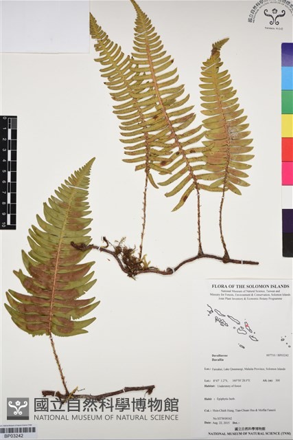 登錄號:BP03242藏品圖，第1張