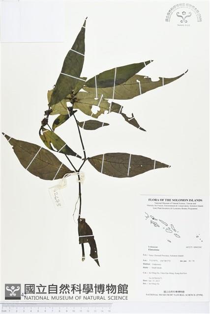 登錄號:BS03242藏品圖，第1張