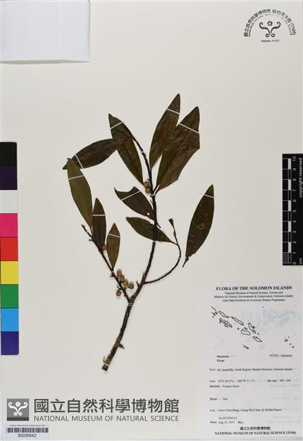 登錄號:BS06942藏品圖，第1張