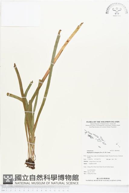 登錄號:BP00942藏品圖，第1張