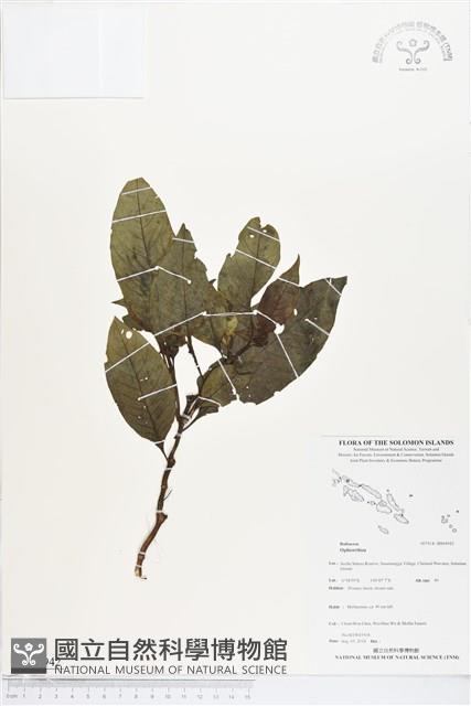 登錄號:BS04942藏品圖，第1張