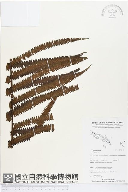 登錄號:BP02342藏品圖，第1張