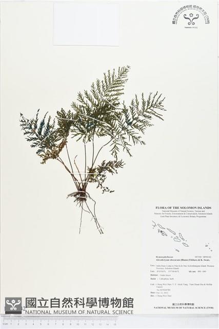 登錄號:BP00342藏品圖，第1張