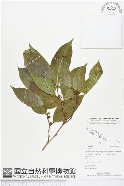 登錄號:BS01342藏品圖，第1張