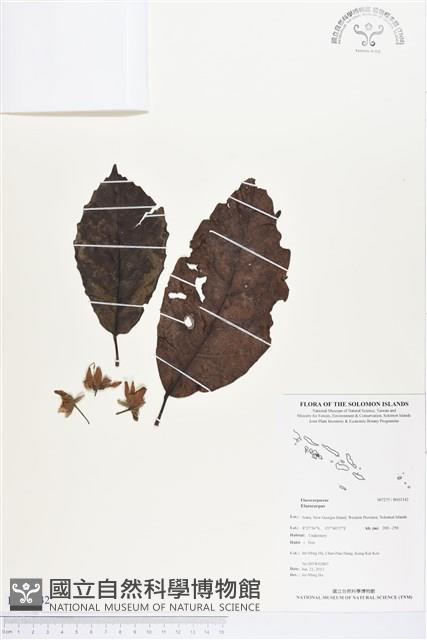 登錄號:BS03342藏品圖，第1張