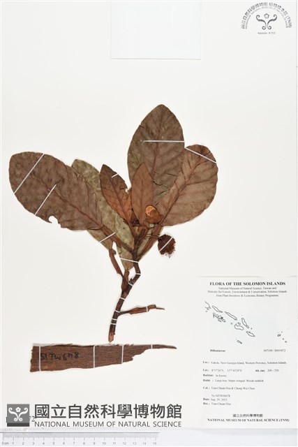 登錄號:BS01872藏品圖，第1張