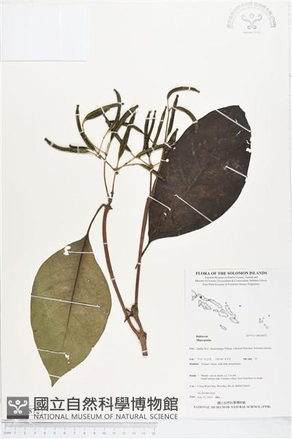 登錄號:BS04872藏品圖，第1張